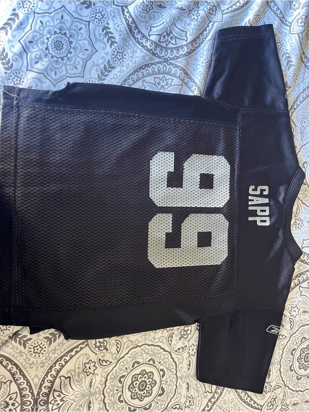 NFL Black Mesh Jersey with Gray 99 and SAPP